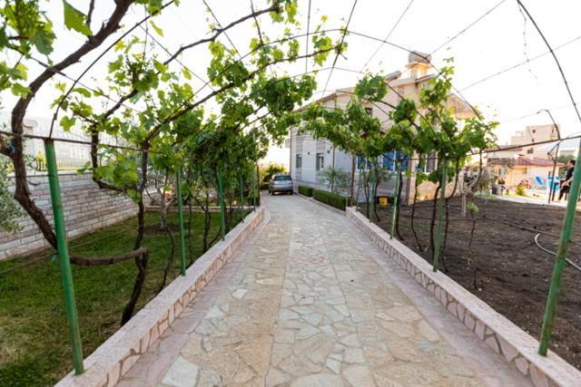 Vila Llano Vlorë Εξωτερικό φωτογραφία